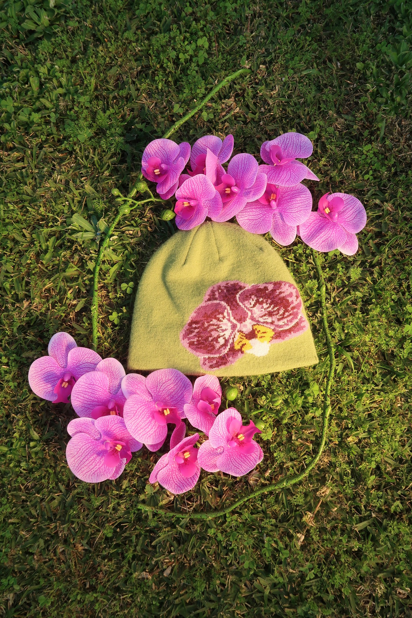 ORCHID BEANIE